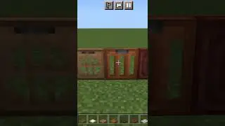 All types of trapdoors in Minecraft #like #subscribe #roadto10k #minecraft #shorts