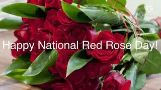 Happy National Red Rose Day