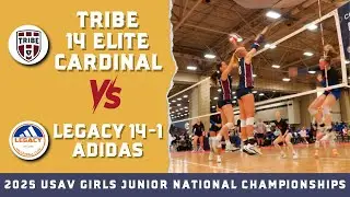 Tribe 14 Elite Cardinal vs Legacy 14-1 Adidas 2025 USAV National Volleyball Championships