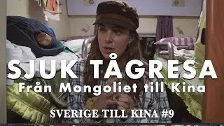 &Auml;TER DJURTUNGA | Sitter fast i Kinesisk gr&auml;nskontroll 😭😭