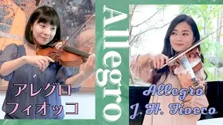 【Classic】フィオッコのアレグロをドイツと日本でデュオ演奏 | Allegro of Fiocco | Violin Duo