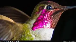 Picasa очень быстрая програма для просмотра фотографий на компьютере