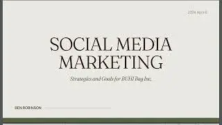 BUHI Bag Inc Strategy and Goals