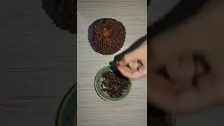 Clove-Filled Apple | A Kurdish Love Tradition