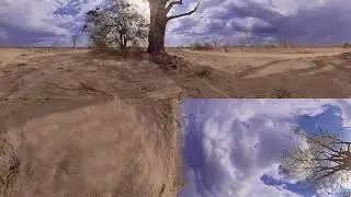 360 degree video