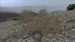 Project Reality:Arma beta 0.1. Public play. 'Take the hills' part I