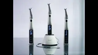 Apex Locator with Endo Motor for Root Canal Treatment, Denjoy Dental Endo Devices