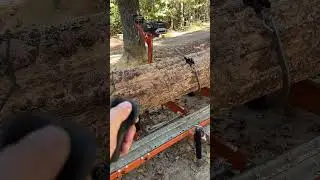 Squaring up Pine Logs on the Norwood LM30 sawmill #norwoodsawmills #logstore #logyard #woodmizer