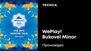 WePlay! Bukovel Minor 2020 - в українських Карпатах пройшов найуспішніший мінор в історії DPC
