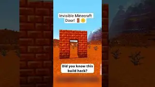 INVISIBLE MINECRAFT DOOR! 🚪🤫 | #shorts #minecraft