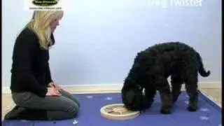 Nina Ottosson Dog Twister