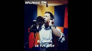 Wilfrido Sierra - El Color De Tus Ojos - Cover