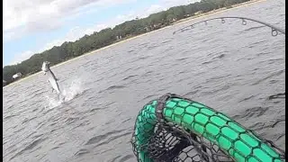 Kayak Fishing Choctawhatchee Bay near Destin - Unexpected Tarpon Hook Up