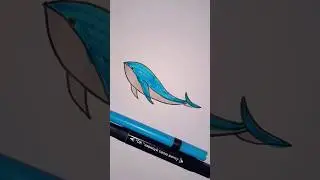 how to draw and colour 🐬 DOLPHIN