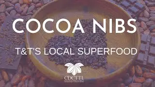 Cocoa Nibs: T&T's Local Superfood!