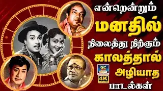 என்றென்றும் மனதில் நிலைத்துநிற்கும் காலத்தால் அழியாத பாடல்கள் | All Time Golden Hit Songs | TMS | 4K