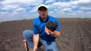 E.Z. Insights S2: Poor corn emergence- sidewall smearing or crusting?