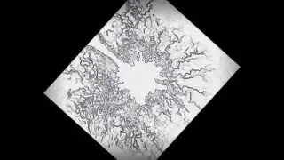 Axon Stellar wobble Chaos - GULF