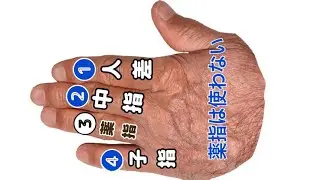 三線なかびち  ポイント 踊こはでさ節  揚作田節  浮島節