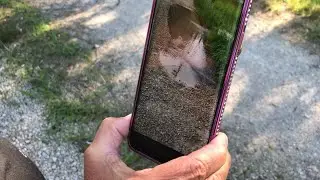Sewage leak