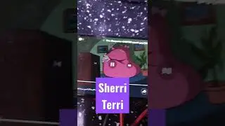 Sherri & Terri