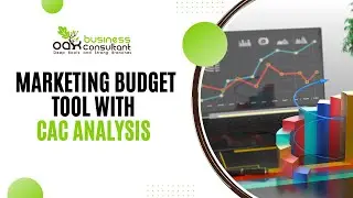 Marketing Budget Tool with CAC Analysis