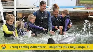 Crazy Family Adventure visits Dolphins Plus in Key Largo
