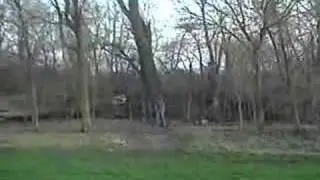 Ghost in the forest Episode 1