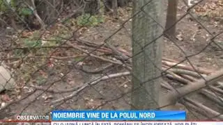 &Icirc;n următoarele două săptăm&acirc;ni, Rom&acirc;nia va fi lovită de ger şi de viscol