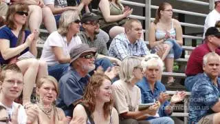 Grand Rapids Michigan Art Festival