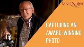 Как фотограф National Geographic делает снимок, достойный награды &mdash; Боб Холмс #шорты