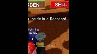 I can see inside the egg 😎 #growagarden #roblox