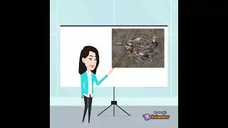 New 3 facts about plastic pollution
