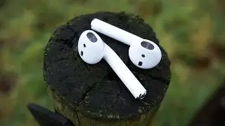 Apple AirPods - 1 Month Later