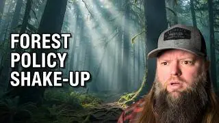 Перезагрузка &laquo;Timber Wars&raquo;: ОБЪЯСНЕНИЕ переписывания плана по лесному хозяйству на северо-западе