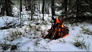 Fireplace Sounds for Deep Sleep | Winter Forest Campfire