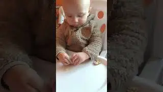КОТЯ І КОТЛЕТКА