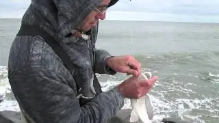 Surf Fishing for Redfish in Delaware