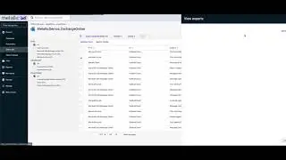 Restoring individual mail items for Exchange Online mailboxes with MetallicTM