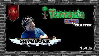 Relaxing Stream - Let's Take On Some Bosses - TERRARIA SKYBLOCK - 1.4.5?!!