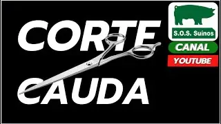 SUINOCULTURA: SOS SUINOS  - CORTE DE CAUDA