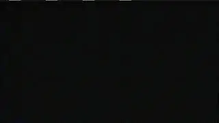 White Screen Of Death And Moaning Sound On My Home Alone 2: Lost In New York 1993 VHS