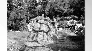 charbonni&egrave;re des garrigues