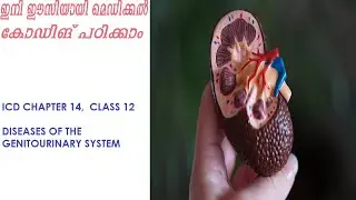 ICD-10-CM chapter 14, diseases of the genitourinary system