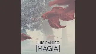 Contigo