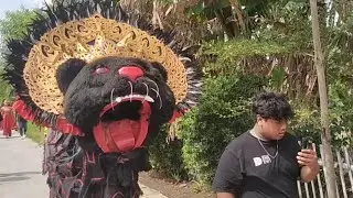 Arak arakan barongan hitam galak dewa dewi drumband 