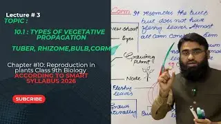 Vegetative Propagation | Stem Tuber, Rhizome, Corm & Bulb | Class 9th Biology New Book 2025-26
