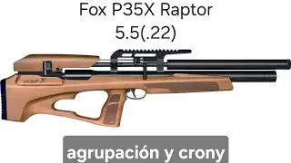Fox p35 x Raptor 5.5(.22) , agrupaci&oacute;n y crony.