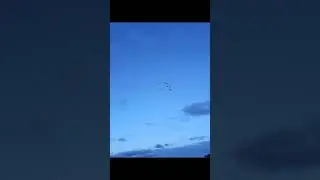 Revoada dos Guar&aacute;s