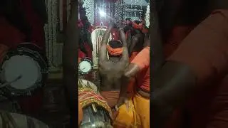 தளவாய்புரம் அய்யா கோவில் திருவிழா 2023| சாமி ஆட்டம்| இளைய பெருமாள் அய்யா #ayyavaikundar #ayyasong